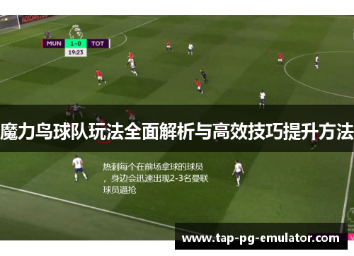 魔力鸟球队玩法全面解析与高效技巧提升方法