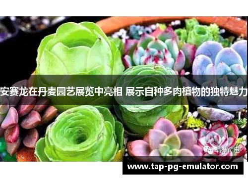 安赛龙在丹麦园艺展览中亮相 展示自种多肉植物的独特魅力