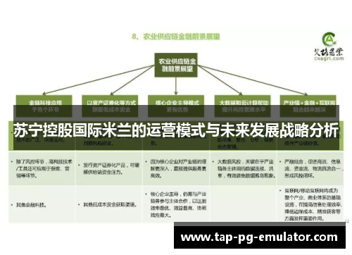 苏宁控股国际米兰的运营模式与未来发展战略分析
